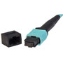MPO Female to MPO Female, OM3 40G 50/125 Multimode Round Cable, OFNR Jacket, Aqua, 3.0m