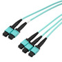 3xMPO8 w/ pins to 2xMPO12 w/ pins, OM4 50/125um Multimode, LSZH Jacket, Aqua, 5 meter