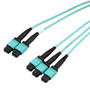 3xMPO8 w/ pins to 2xMPO12 w/ pins, OM3 50/125um Multimode, LSZH Jacket, Aqua, 10 meter