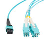MPO PC w/o Pins to 4xSN (8 strand) UPC Cable Assembly, Multimode OM3, Plenum Rated, 5 Meter