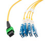 MPO APC w/o Pins to 4xSN (8 strand) UPC Cable Assembly, Single Mode, Plenum Rated, 15 Meter