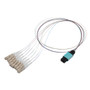 Patch Cord Multimode OM2 8 Cores MPO Male to LC/UPC 0.25mm PVC 8 Color 0.5M