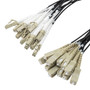 12 Strand LC/UPC to SC/UPC 50/125 OM4, 6.2mm Distribution Cable, 2.0mm Breakout 0.5M, LSZH - 5M