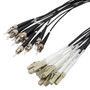 12 Strand LC/UPC to ST/UPC 50/125 OM4, 6.2mm Distribution Cable, 2.0mm Breakout 0.5M, LSZH - 5M