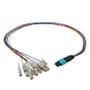 Patch Cord Multimode OM2 12 Cores MPO Male to LC/UPC 0.9mm PVC 12 Color 0.5M