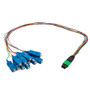 Patch Cord Single Mode OS2 12 Cores MPO Male to SC/UPC 0.9mm PVC 12 Color 0.5M