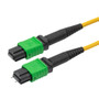 Fiber patch cable MPO Male to MPO Female, 8 fiber SMF type B, LSZH (Low Smoke, Zero Halogen) rated, 5-meter