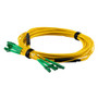 4 Strand LC/APC-LC/APC Single Mode OS2 Distribution Cable, 4.8mm Riser Jacket, 2.0mm breakout at 0.5M - 5 meters