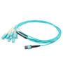 MPO PC w/o Pins to 10xSN (20 strand) UPC Cable Assembly, Multimode OM4, Riser Rated, 2 Meter
