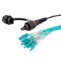 IP68 ODVA Compatible MPO UPC female to LC UPC fan-out, 24 fiber, OM3 5mm LSZH Outdoor rated, 5m cable assembly