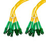 6 Strand LC/APC-LC/APC Single Mode OS2 Distribution Cable, 5.0mm PVC Jacket, 2.0mm breakout at 0.5M - 5 meters
