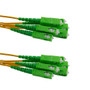6 Strand SC/APC-SC/APC Single Mode OS2 Distribution Cable, 5.0mm PVC Jacket, 2.0mm breakout at 0.5M - 5 meters