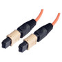 MPO w/o pins to MPO w/o pins, 6 Fiber Ribbon, OM1 62.5/125 Multimode, OFNR Jacket, Orange, 10.0m