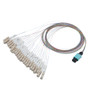 Patch Cord Multimode OM3 24 Cores MPO Male to LC/UPC 0.25mm PVC colored with number ring 1M