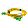 6 Strand SC/APC-SC/APC Single Mode OS2 Distribution Cable, 5.0mm Riser Jacket, 2.0mm breakout at 0.5M - 10 meters