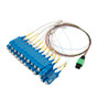 Patch Cord Single Mode OS2 24 Cores MPO Male to SC/UPC 0.25mm PVC Color with number ring 0.5M