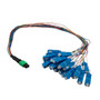 Patch Cord Single Mode OS2 24 Cores MPO Male to SC/UPC 0.9mm PVC Color with number ring 0.5M