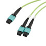 Fiber Aggregation Conversion Harness, MPO24 no pins to 2xMPO12 no pins, OM5 50/125um Multimode, ONFR Jacket, Lime Green, 1 meter