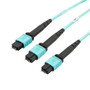 Fiber Aggregation Conversion Harness, MPO24 w/ pins to 2xMPO12 w/ pins, OM3 50/125um Multimode, LSZH Jacket, Aqua, 3 meter