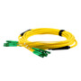 6 Strand LC/APC-LC/APC Single Mode OS2 Distribution Cable, 5.0mm PVC Jacket, 2.0mm breakout at 0.5M - 15 meters