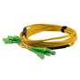6 Strand SC/APC-SC/APC Single Mode OS2 Distribution Cable, 5.0mm Plenum Jacket, 2.0mm breakout at 0.5M - 15 meters