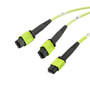 Fiber Aggregation Conversion Harness, MPO24 w/ pins to 2xMPO12 w/ pins, OM5 50/125um Multimode, OFNR Jacket, Lime Green, 3 meter