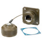 Cat6, Ruggedized Flange Mount, Zinc-Nickel finish with Grounding Shield and Dust Cap