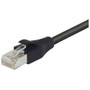 Shielded Cat 6 Cable, RJ45 / RJ45 PVC Jacket, Black 2.0 ft