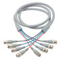 Deluxe RGB Multi-Coaxial Cable, 4 BNC Male / Male, 7.5 ft