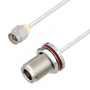 Precision SMA Male to N Female Bulkhead Cable Assembly using LC085TB Coax, 2 FT , LF Solder