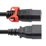 IEC LOCK C13+ to C14, 10A, 250V, 10ft