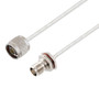 N Male to TNC Female Bulkhead Cable Assembly using LC141TB Coax, 2 FT
