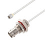BNC Female Bulkhead to SMA Male Cable Assembly using LC141TB Coax, 4 FT