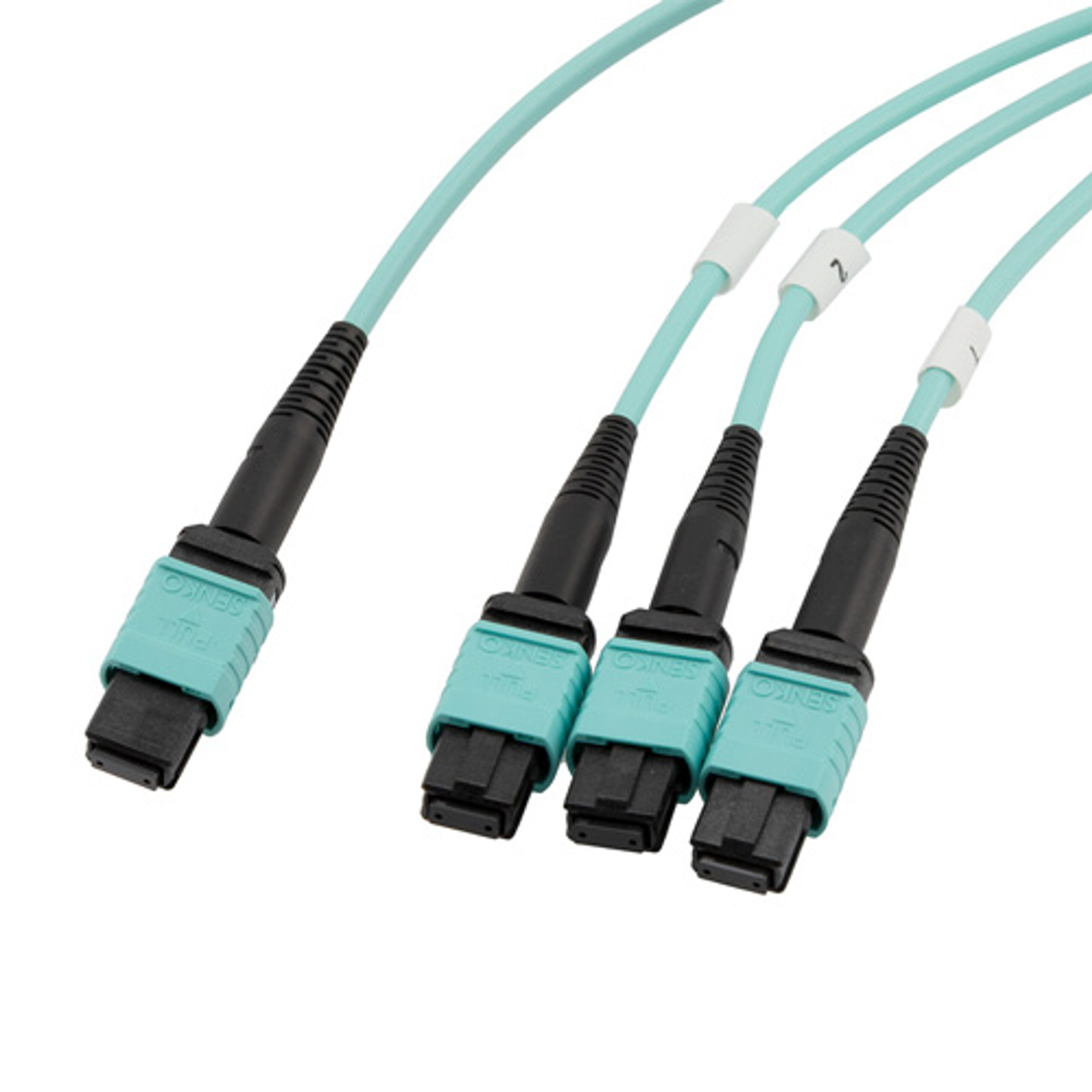 Conversion Harness (Fiber)