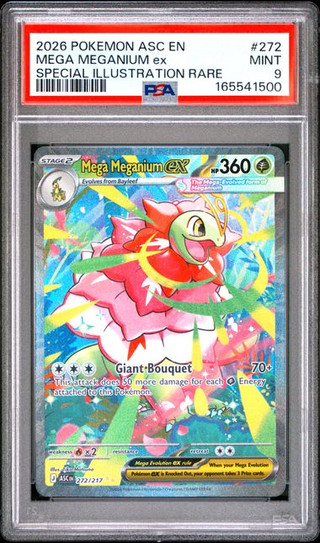 MEGA MEGANIUM Ascended Heroes Special Illustration Rare #272 PSA 9