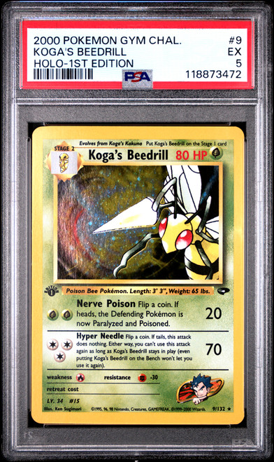 KOGA'S BEEDRILL Gym Challenge 1st Edition Holo PSA 5