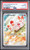 SCORBUNNY Ascended Heroes Illustration Rare #225 PSA 10