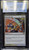 HOLD THE LINE Champions of Kamigawa Foil CGC 9