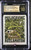 MOLDERVINE RECLAMATION SLD:  Foil CGC 10