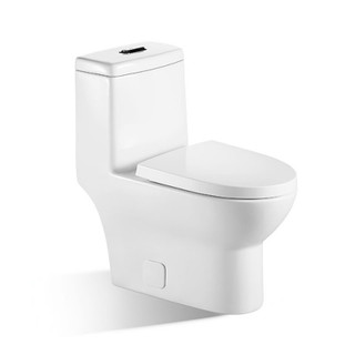 Siphon Flushing Toilet BTO BL-153-OPT