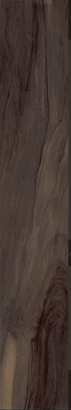 Kiwi Marrone 8" x 48"