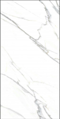 Calacatta Bianco Polished 24" x 48"