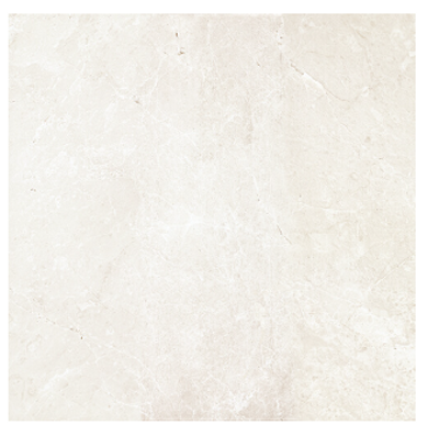 Arona Bianco Polished 24X24 (Rectified Edge) 11.62 Sqft x Box