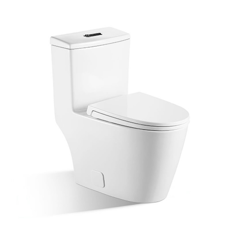 Siphon Flushing Toilet BTO BL-137-OPT