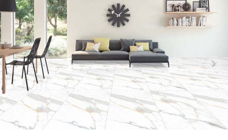 Carrara Venice 24x48 Polished Glossy 16 Sqft x Box