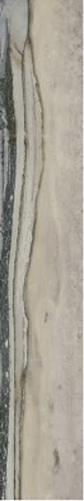 Exotic Stone Fossil Natural 8" x 47" 15.5 Sqft x Box