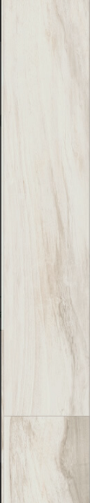 Kiwi Bianco 8" x 48"
