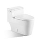 Siphon Flushing Toilet BTO BL-0317-OPT