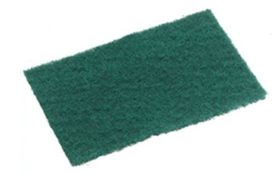 Scourer Pad Standard Grade 15CM X 10CM Green Ea