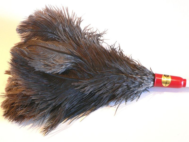 Duster Ostrich Feather No 8 Each